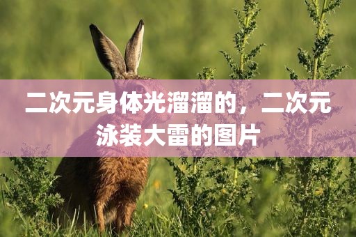 二次元身体光溜溜的，二次元泳装大雷的图片