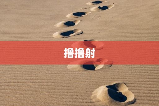 撸撸射