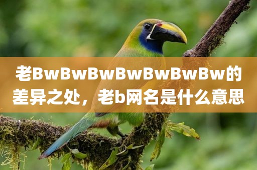 老BwBwBwBwBwBwBw的差异之处，老b网名是什么意思