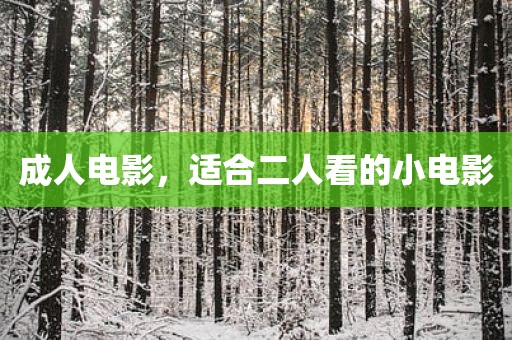 成人电影，适合二人看的小电影