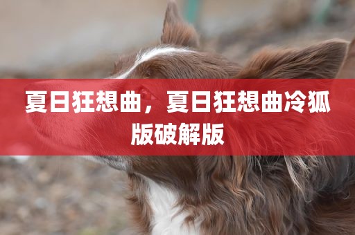 夏日狂想曲，夏日狂想曲冷狐版破解版