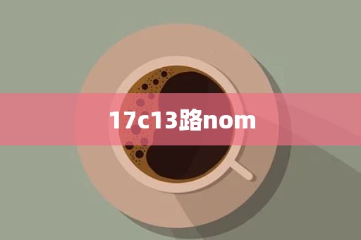 17c13路nom
