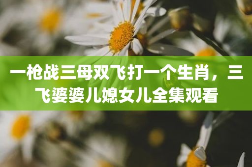 一枪战三母双飞打一个生肖，三飞婆婆儿媳女儿全集观看