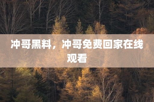 冲哥黑料，冲哥免费回家在线观看