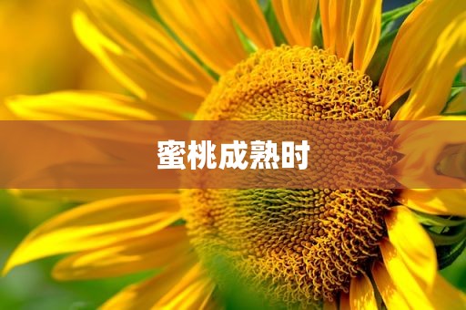 蜜桃成熟时