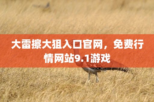 大雷擦大狙入口官网，免费行情网站9.1游戏
