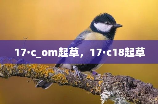 17·c_om起草，17·c18起草