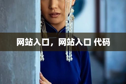 网站入口，网站入口 代码