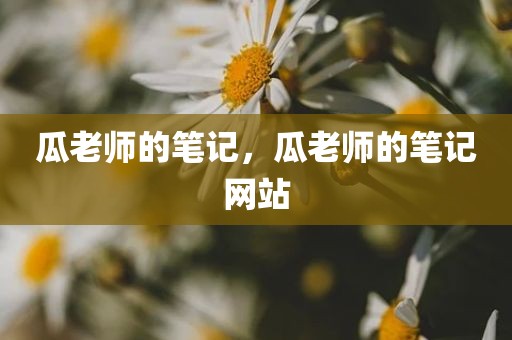 瓜老师的笔记，瓜老师的笔记网站