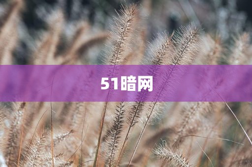 51暗网