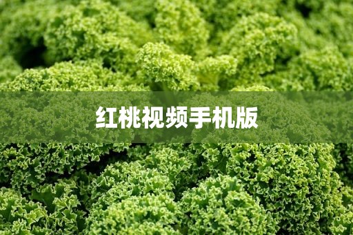 红桃视频手机版