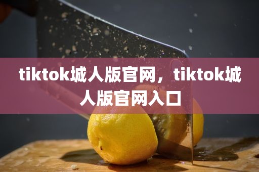 tiktok城人版官网，tiktok城人版官网入口
