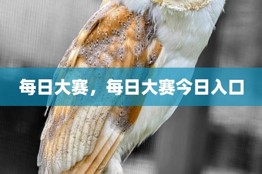 每日大赛，每日大赛今日入口