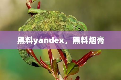黑料yandex，黑料烟膏