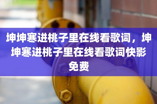 坤坤寒进桃子里在线看歌词，坤坤寒进桃子里在线看歌词快影免费
