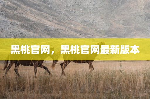 黑桃官网，黑桃官网最新版本