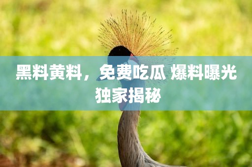 黑料黄料，免费吃瓜 爆料曝光 独家揭秘