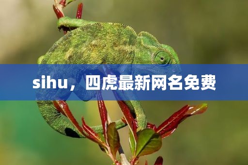 sihu，四虎最新网名免费
