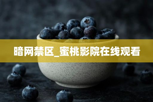 暗网禁区_蜜桃影院在线观看