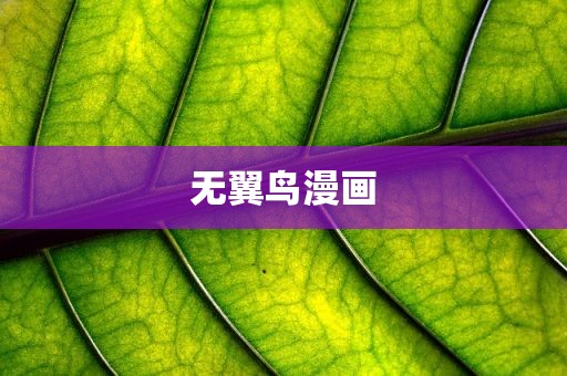 无翼鸟漫画