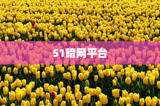 51暗网平台