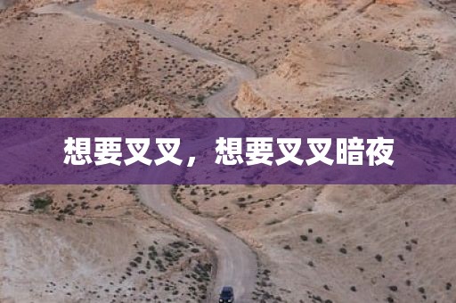 想要叉叉，想要叉叉暗夜