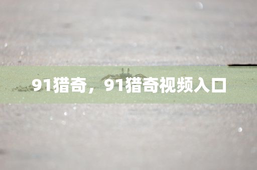 91猎奇，91猎奇视频入口