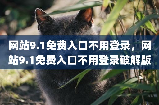 网站9.1免费入口不用登录，网站9.1免费入口不用登录破解版