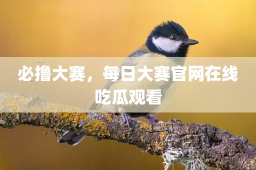 必撸大赛，每日大赛官网在线吃瓜观看