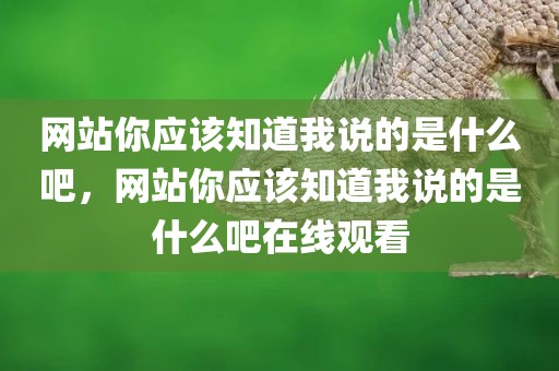 网站你应该知道我说的是什么吧，网站你应该知道我说的是什么吧在线观看