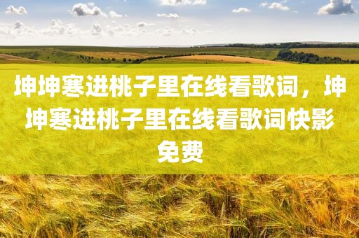 坤坤寒进桃子里在线看歌词，坤坤寒进桃子里在线看歌词快影免费