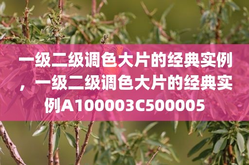 一级二级调色大片的经典实例，一级二级调色大片的经典实例A100003C500005
