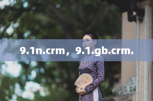 9.1n.crm，9.1.gb.crm.
