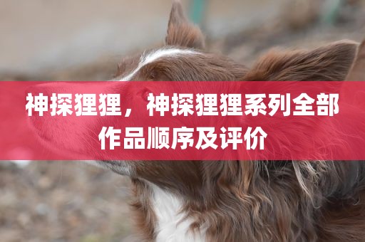 神探狸狸，神探狸狸系列全部作品顺序及评价