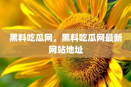 黑料吃瓜网，黑料吃瓜网最新网站地址