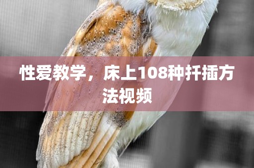 性爱教学，床上108种扦插方法视频