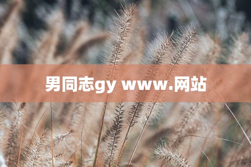 男同志gy www.网站