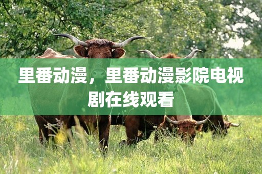 里番动漫，里番动漫影院电视剧在线观看