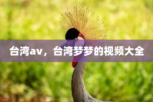 台湾av，台湾梦梦的视频大全