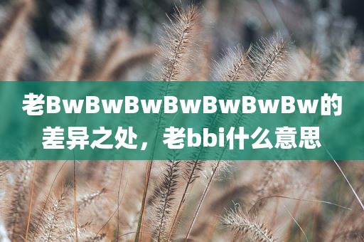 老BwBwBwBwBwBwBw的差异之处，老bbi什么意思