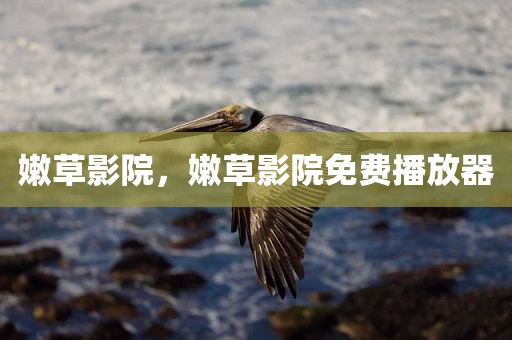 嫩草影院，嫩草影院免费播放器