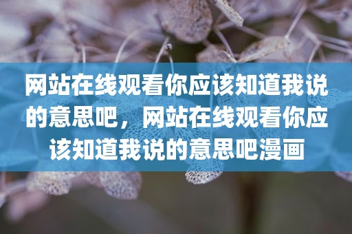 网站在线观看你应该知道我说的意思吧，网站在线观看你应该知道我说的意思吧漫画