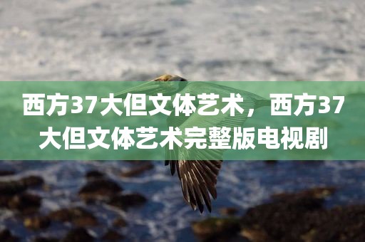 西方37大但文体艺术，西方37大但文体艺术完整版电视剧