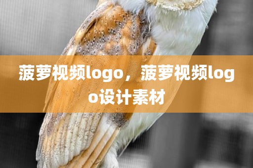 菠萝视频logo，菠萝视频logo设计素材