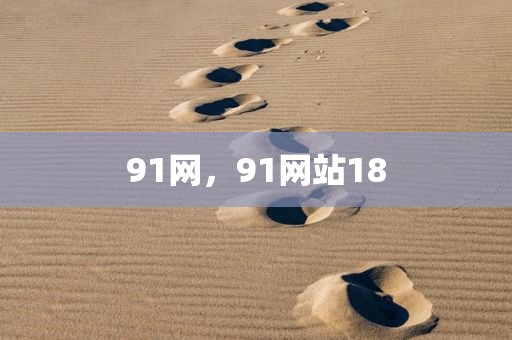 91网，91网站18