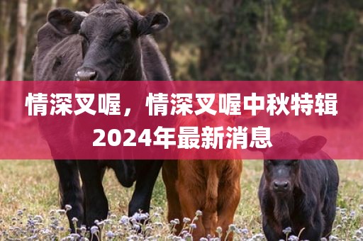 情深叉喔，情深叉喔中秋特辑2024年最新消息
