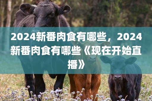 2024新番肉食有哪些，2024新番肉食有哪些《现在开始直播》