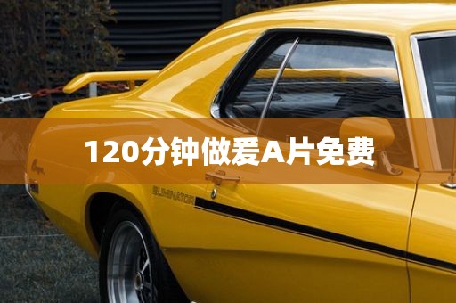 120分钟做爰A片免费