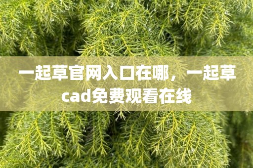 一起草官网入口在哪，一起草cad免费观看在线