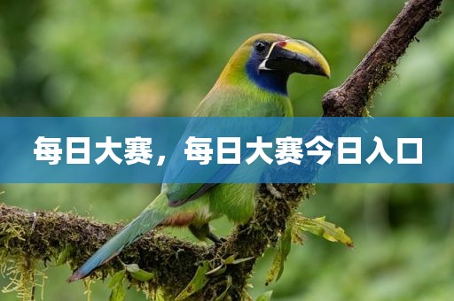 每日大赛，每日大赛今日入口